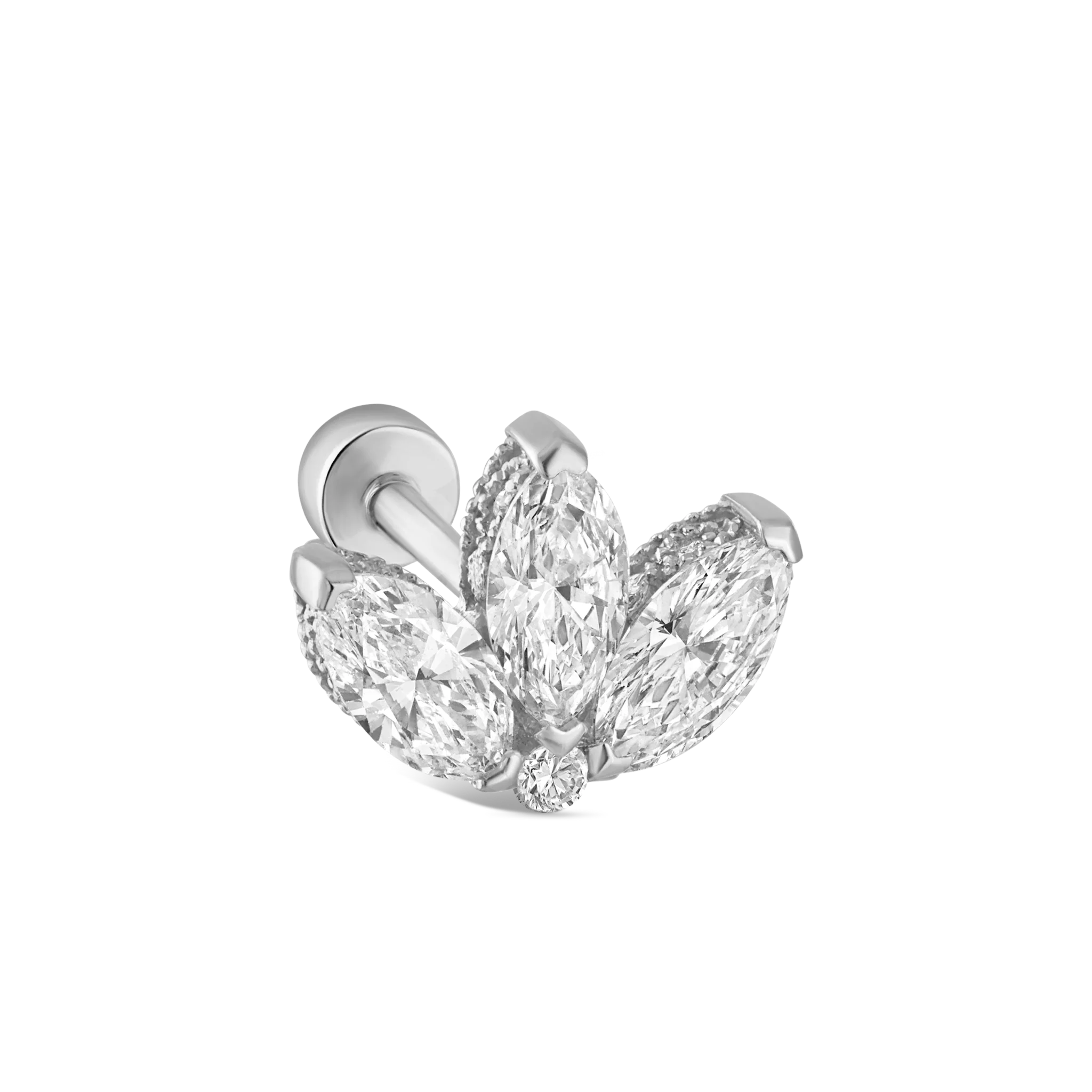 Product image 79